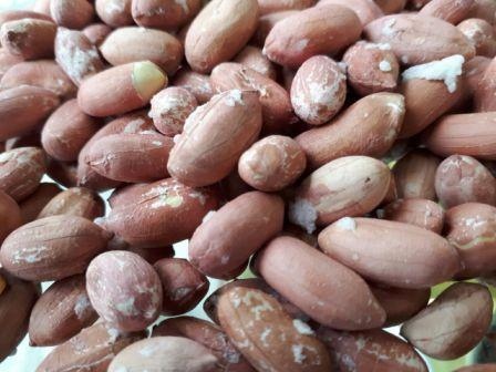 قیمت بادام زمینی دشت مغان با کیفیت ارزان + خرید عمده